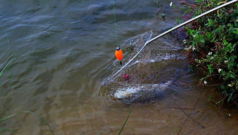 趣味の楽園 - Image 1