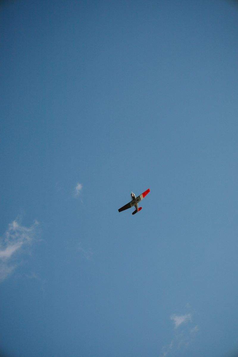 趣味の楽園 - Image 12