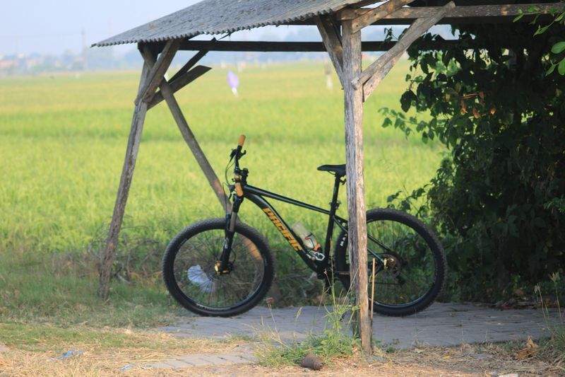 趣味の楽園 - Image 6